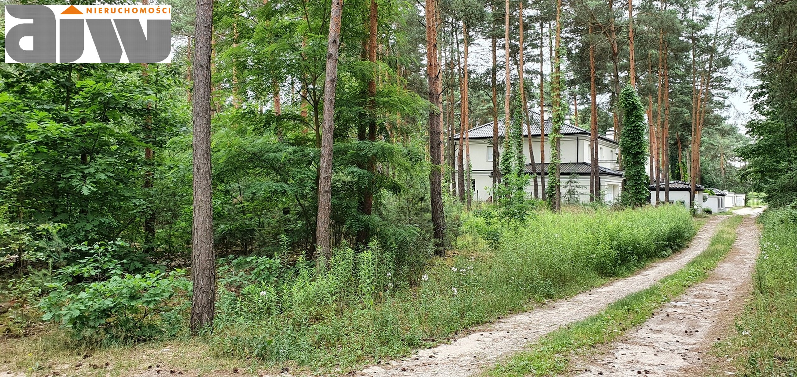 Hornówek działka 2370 m2 - zdjęcie 1