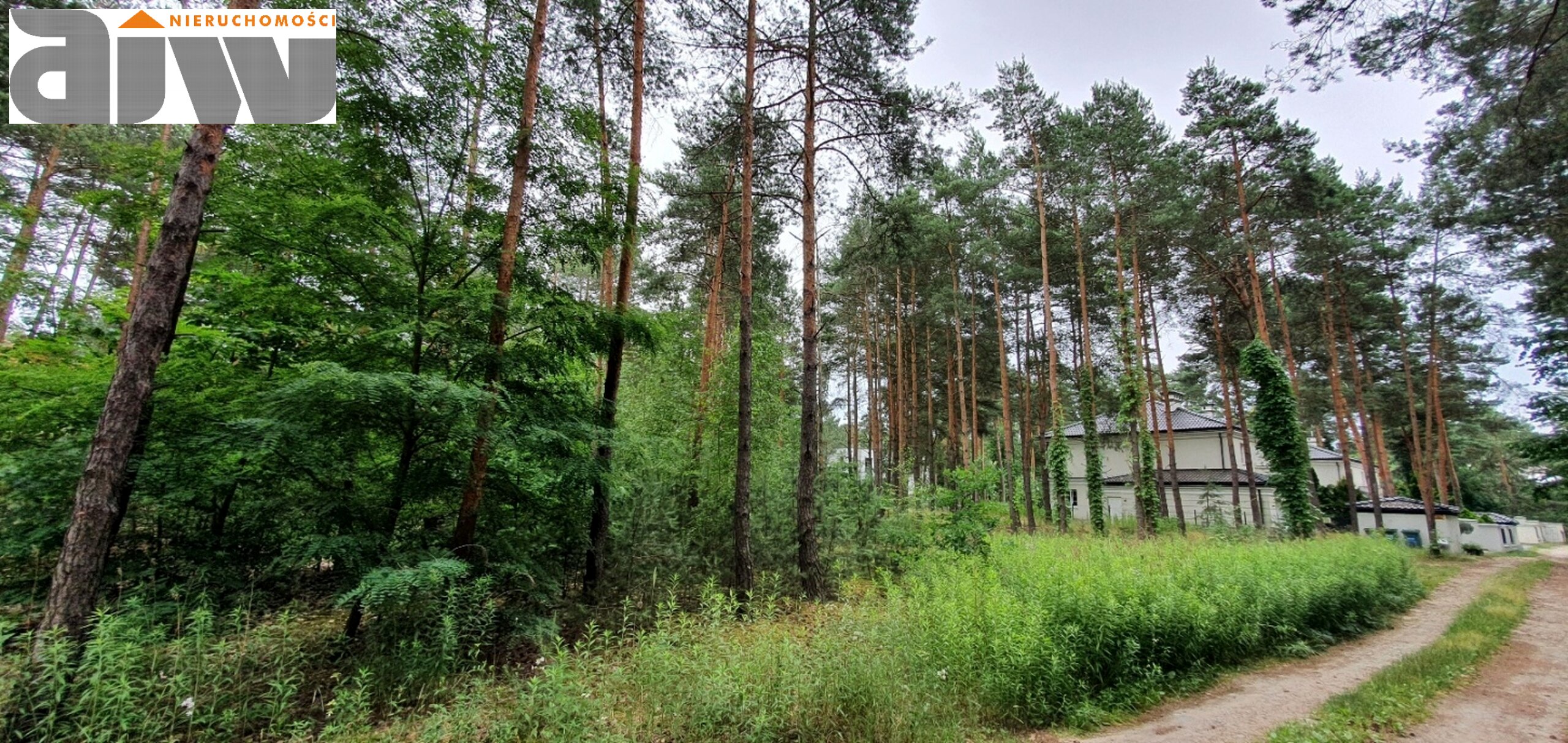 Hornówek działka 2370 m2 - zdjęcie 3