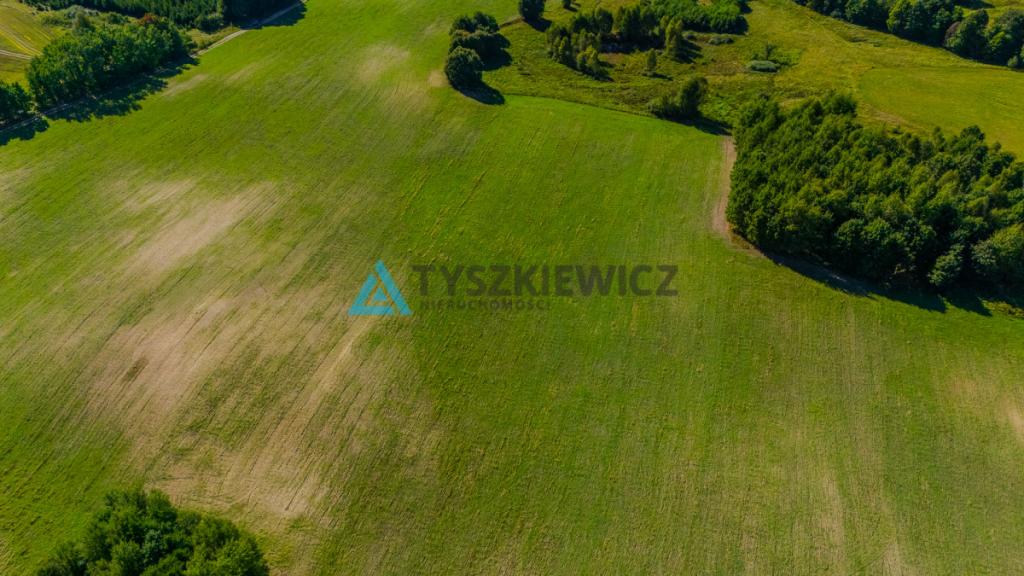 Działka siedliskowa w malowniczej miejscowości. - zdjęcie 15
