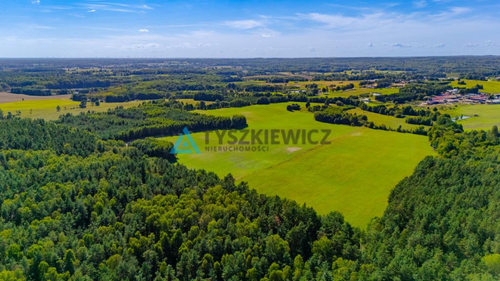Działka siedliskowa w malowniczej miejscowości. - zdjęcie 7