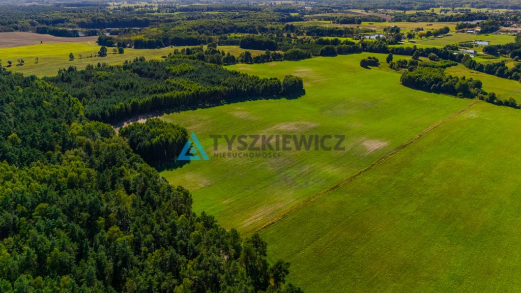 Działka siedliskowa w malowniczej miejscowości. - zdjęcie 9