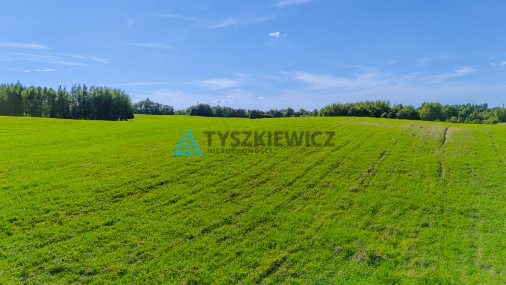 Działka siedliskowa w malowniczej miejscowości. - zdjęcie 29
