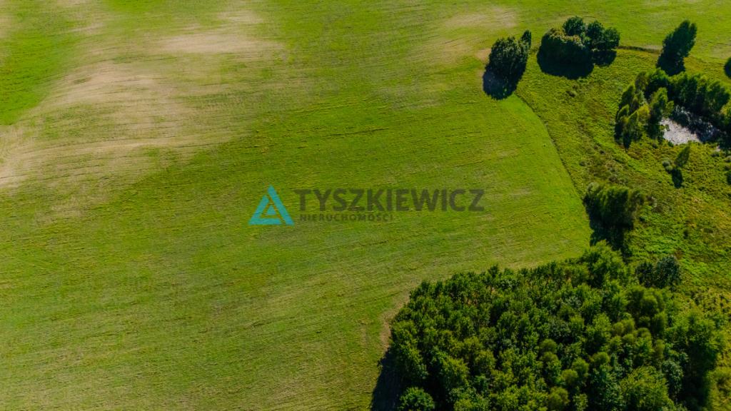 Działka siedliskowa w malowniczej miejscowości. - zdjęcie 18