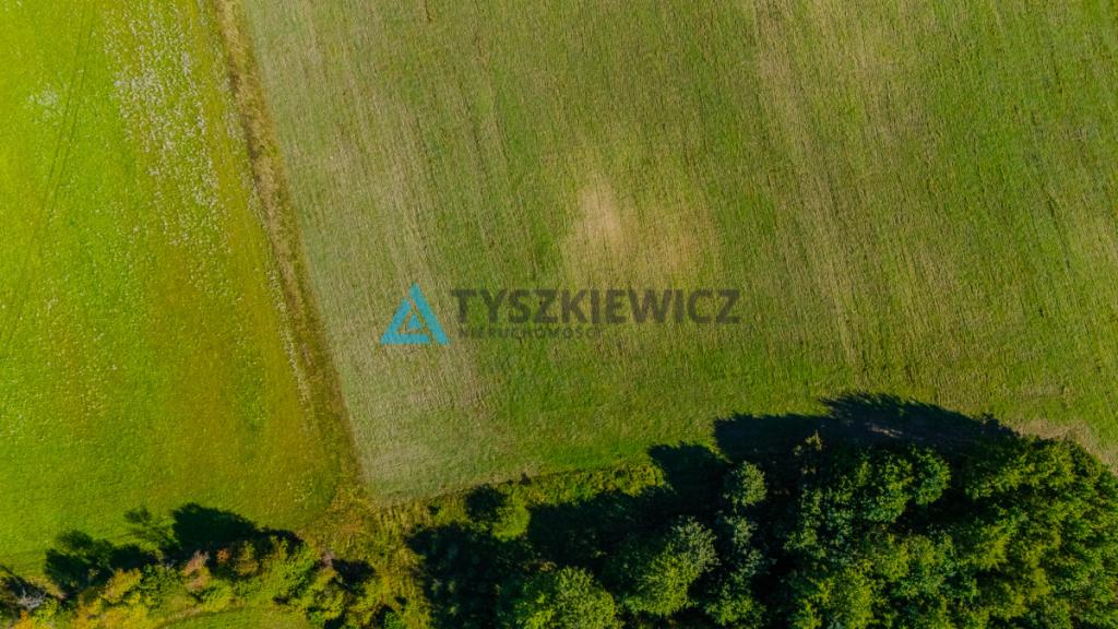 Działka siedliskowa w malowniczej miejscowości. - zdjęcie 20