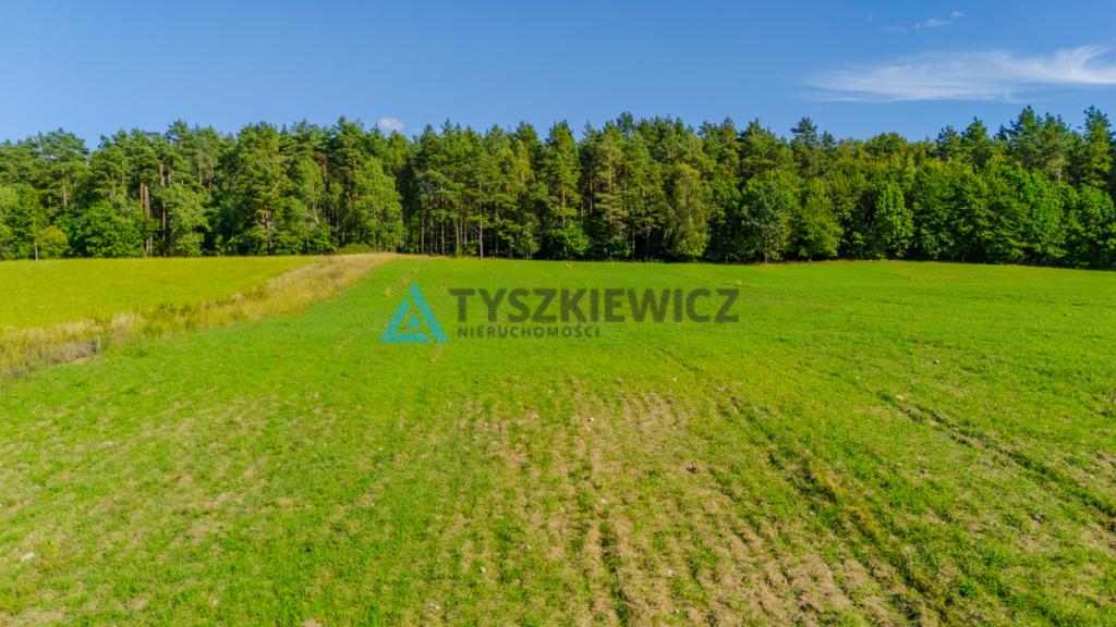 Działka siedliskowa w malowniczej miejscowości. - zdjęcie 28