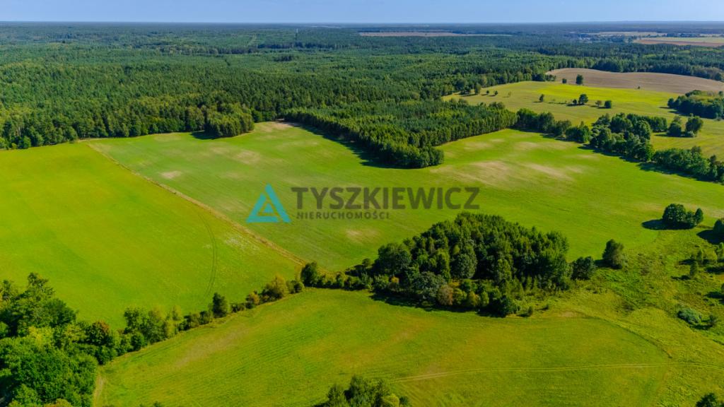 Działka siedliskowa w malowniczej miejscowości. - zdjęcie 19