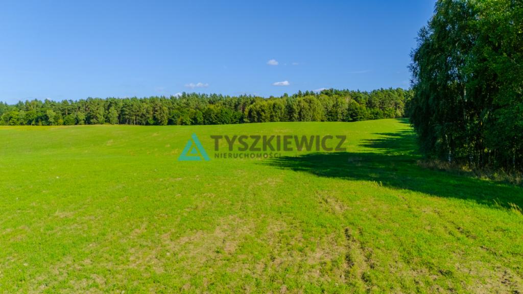 Działka siedliskowa w malowniczej miejscowości. - zdjęcie 27
