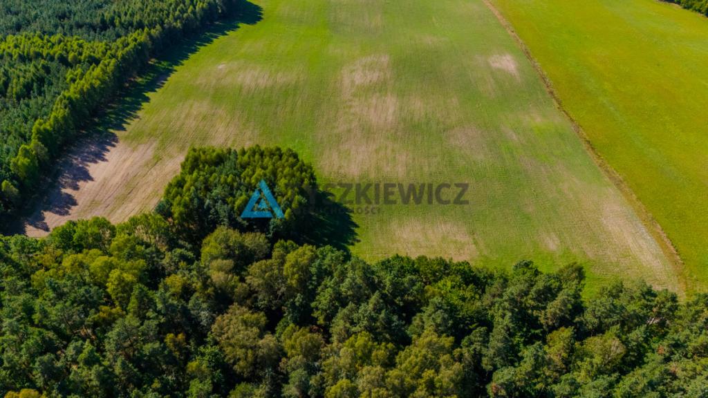 Działka siedliskowa w malowniczej miejscowości. - zdjęcie 10