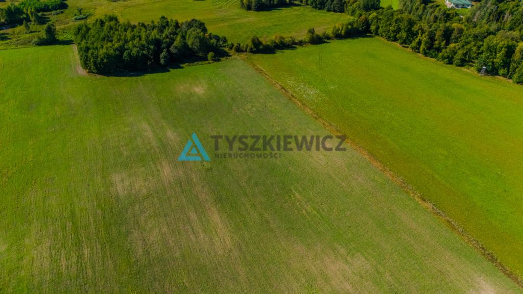 Działka siedliskowa w malowniczej miejscowości. - zdjęcie 14