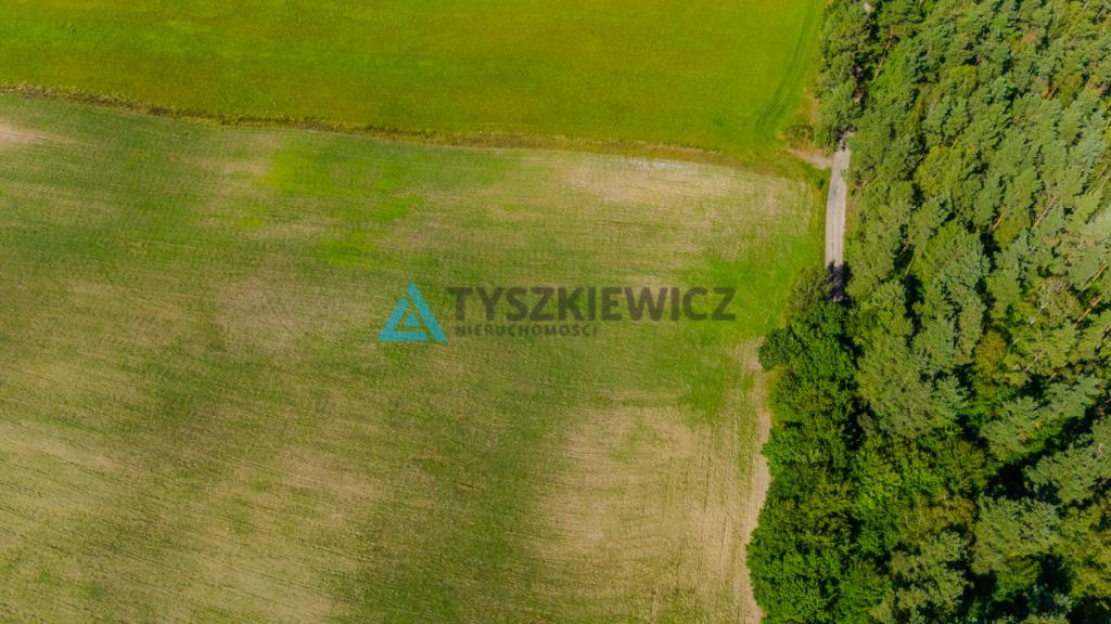 Działka siedliskowa w malowniczej miejscowości. - zdjęcie 13