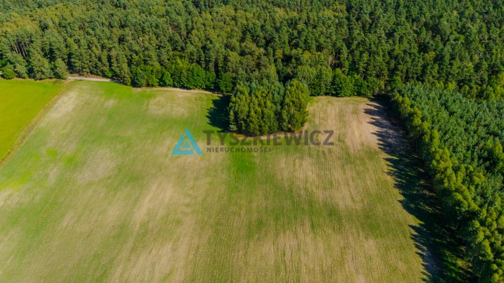 Działka siedliskowa w malowniczej miejscowości. - zdjęcie 16