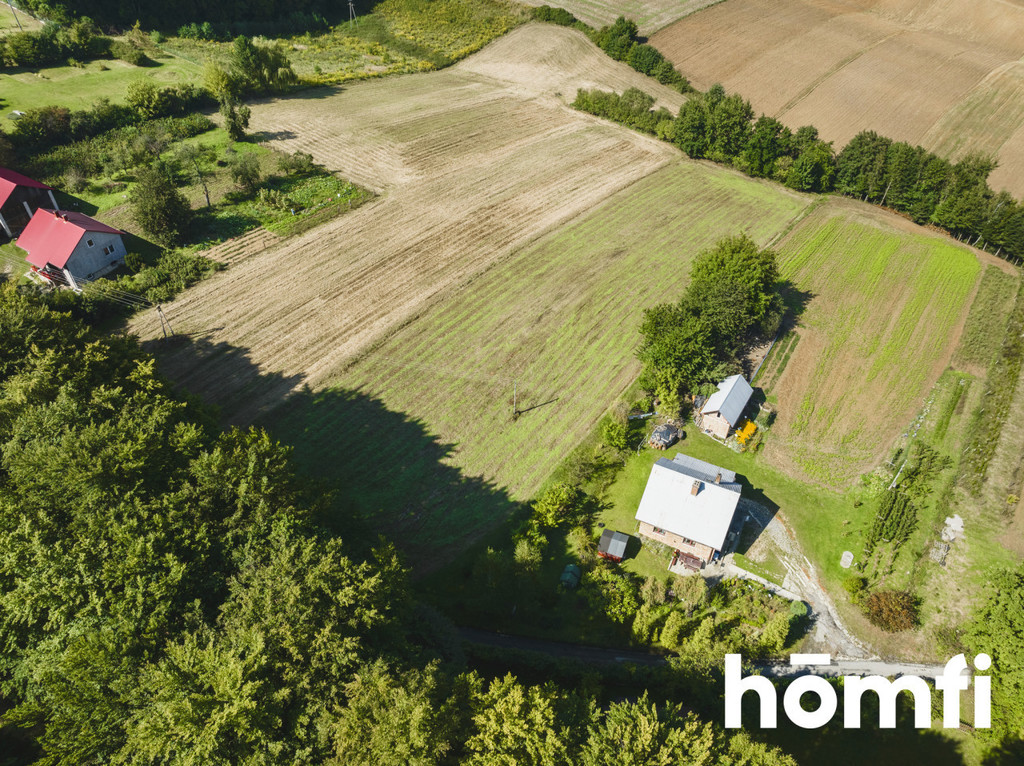 Działka budowlana 5250 m², Przybysławice - zdjęcie 6