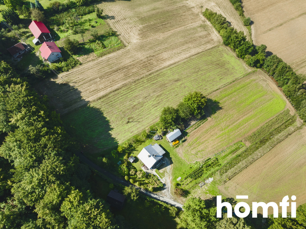 Działka budowlana 5250 m², Przybysławice - zdjęcie 5