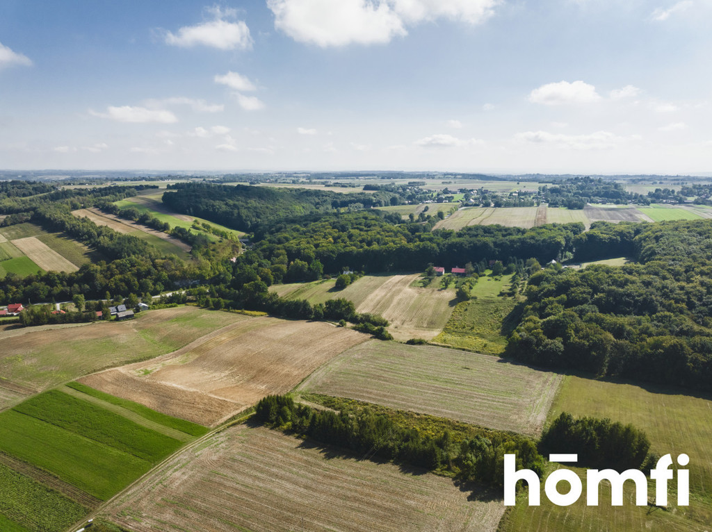 Działka budowlana 5250 m², Przybysławice - zdjęcie 9