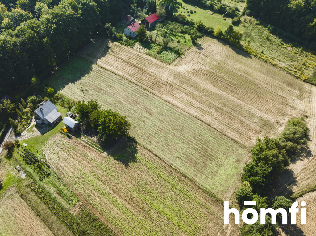 Działka budowlana 5250 m², Przybysławice - zdjęcie 4