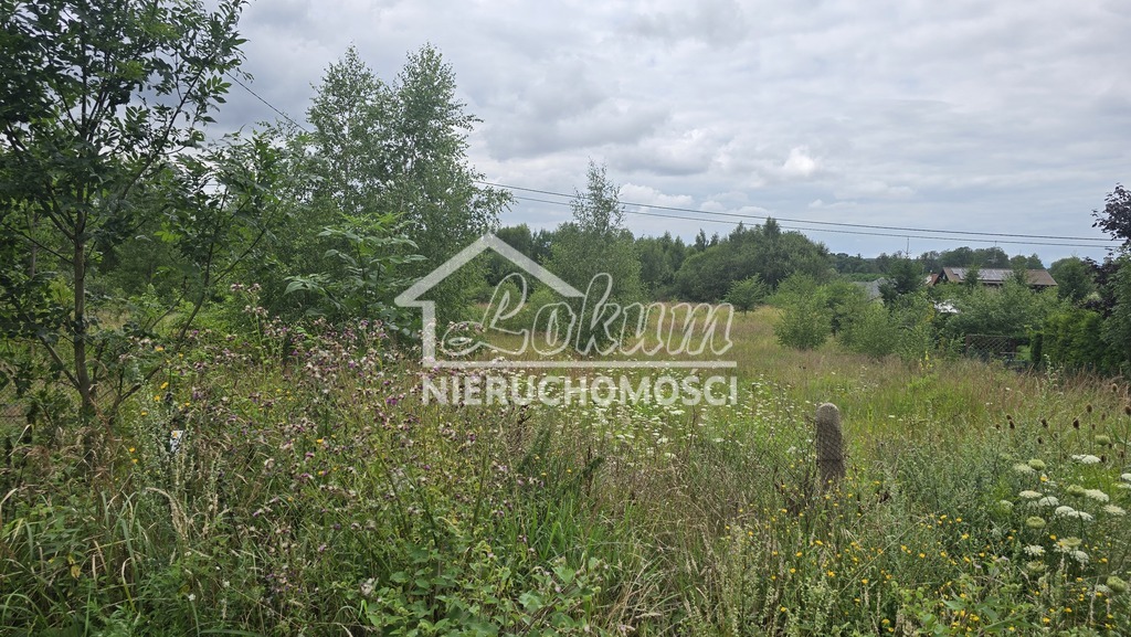 Działka budowlana 5575 m², Dobra, Graniczna - zdjęcie 2