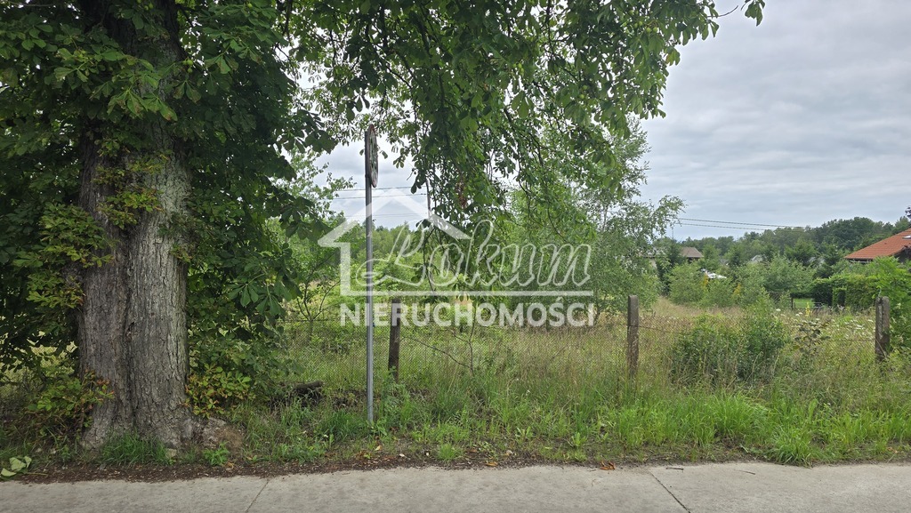 Działka budowlana 5575 m², Dobra, Graniczna - zdjęcie 3