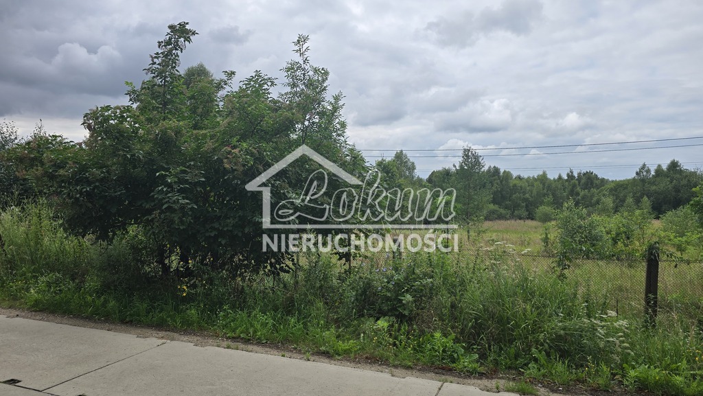 Działka budowlana 5575 m², Dobra, Graniczna - zdjęcie 4