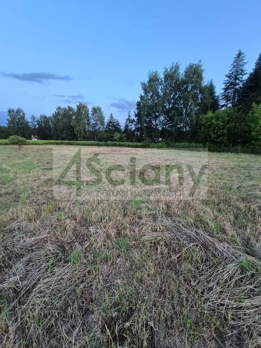 Działka budowlana 1662 m², Opypy - zdjęcie 3