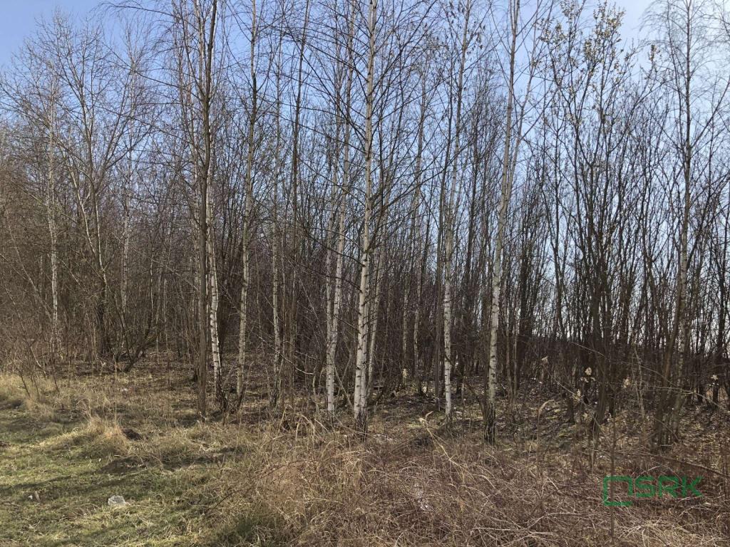 Działka inwestycyjna 1,07 ha, Bytom, Magdaleny - zdjęcie 4