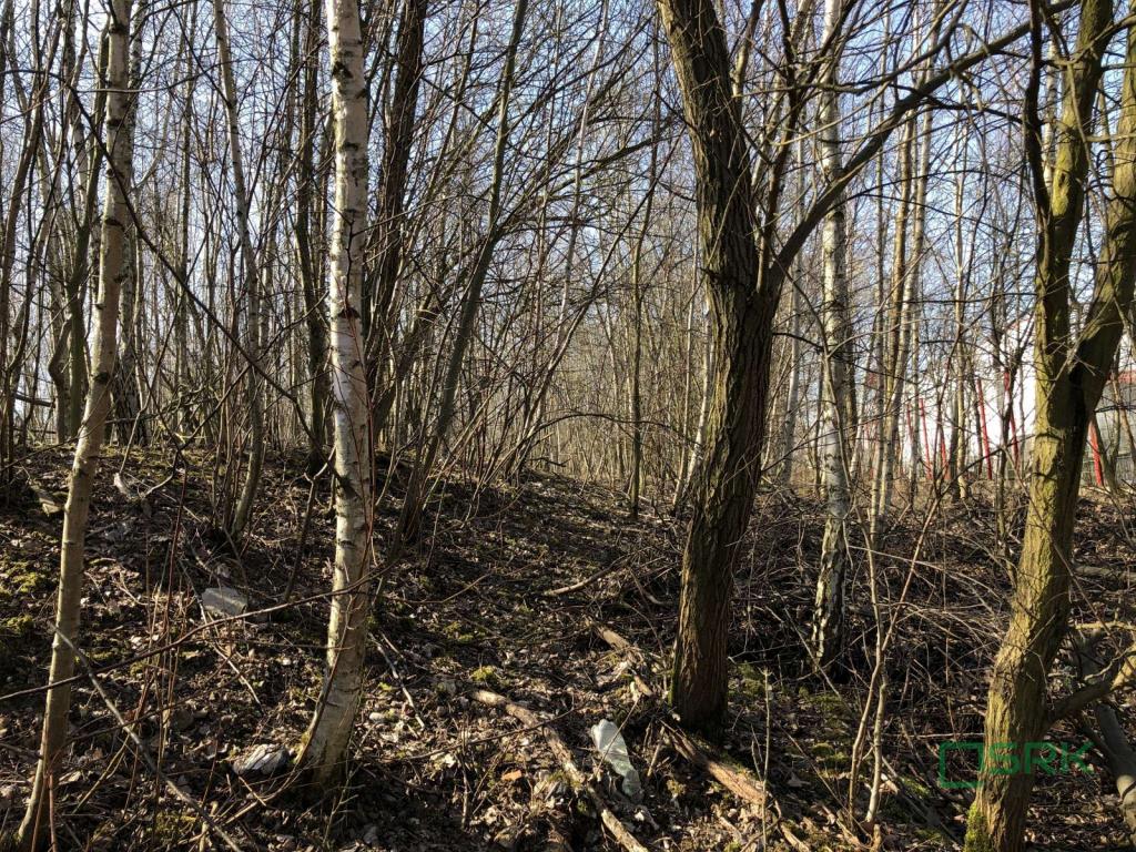 Działka inwestycyjna 1,07 ha, Bytom, Magdaleny - zdjęcie 5