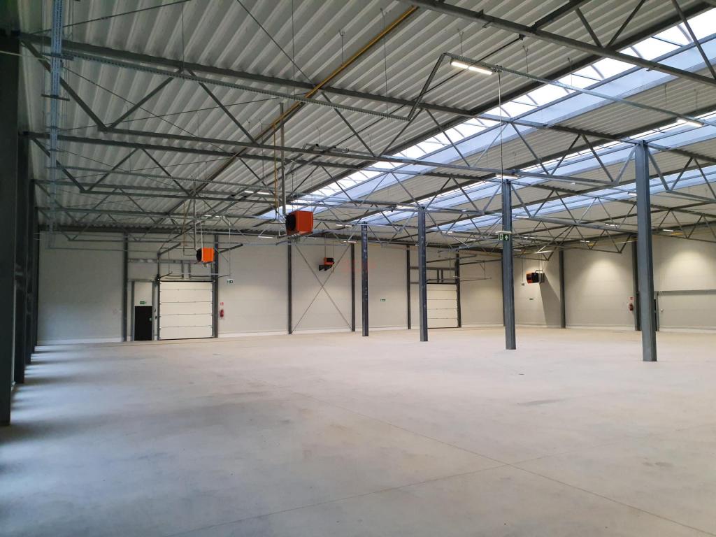 Magazyn do wynajęcia, 3302 m², Krępice, Kwiatowa - zdjęcie 16
