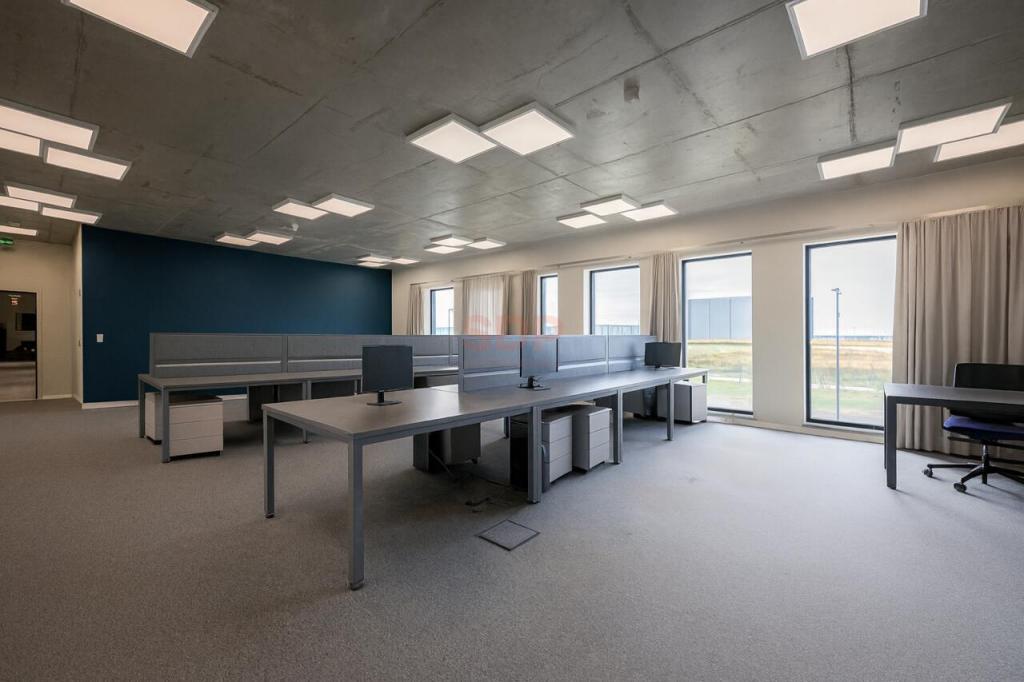 Magazyn do wynajęcia, 3302 m², Krępice, Kwiatowa - zdjęcie 8
