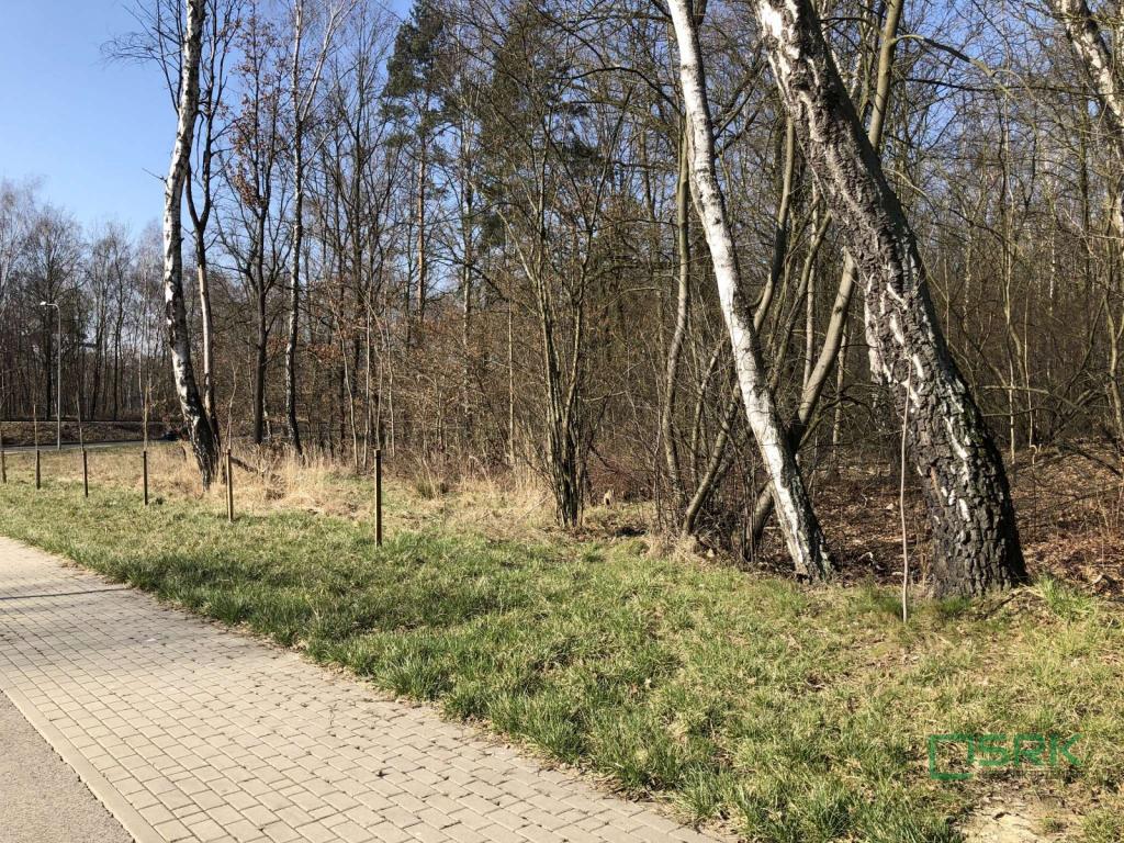 Działka inwestycyjna 1,39&nbsp;ha, Bytom, Przy Kopalni Bytom - zdjęcie 5