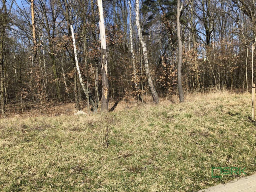 Działka inwestycyjna 1,39&nbsp;ha, Bytom, Przy Kopalni Bytom - zdjęcie 4