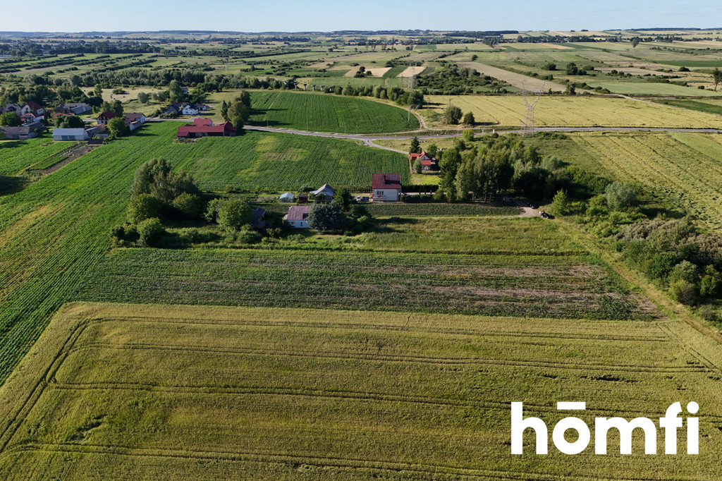 Działka rolna 5900 m², Szopinek - zdjęcie 4