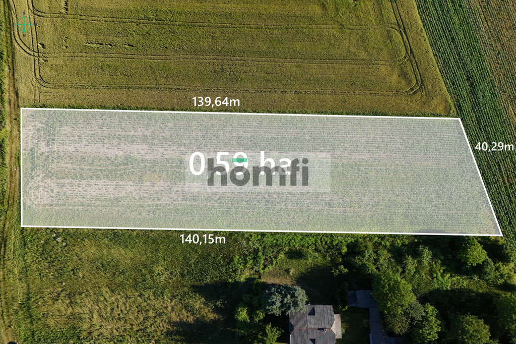 Działka rolna 5900 m², Szopinek - zdjęcie 8