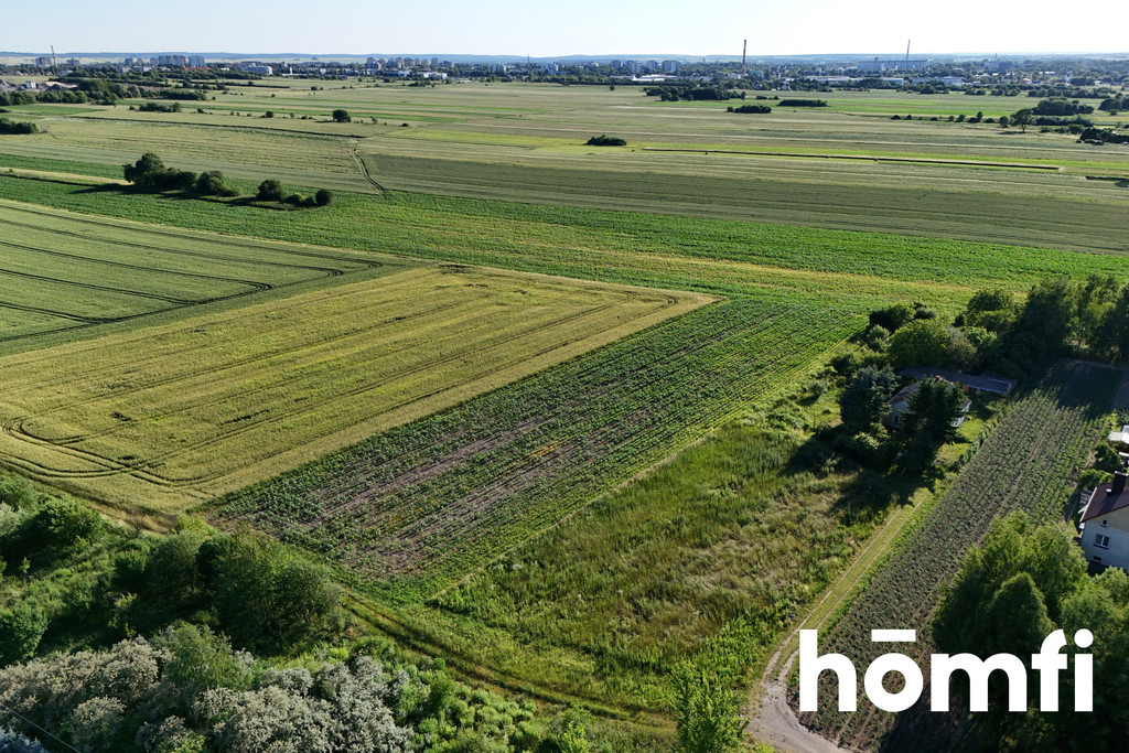Działka rolna 5900 m², Szopinek - zdjęcie 1