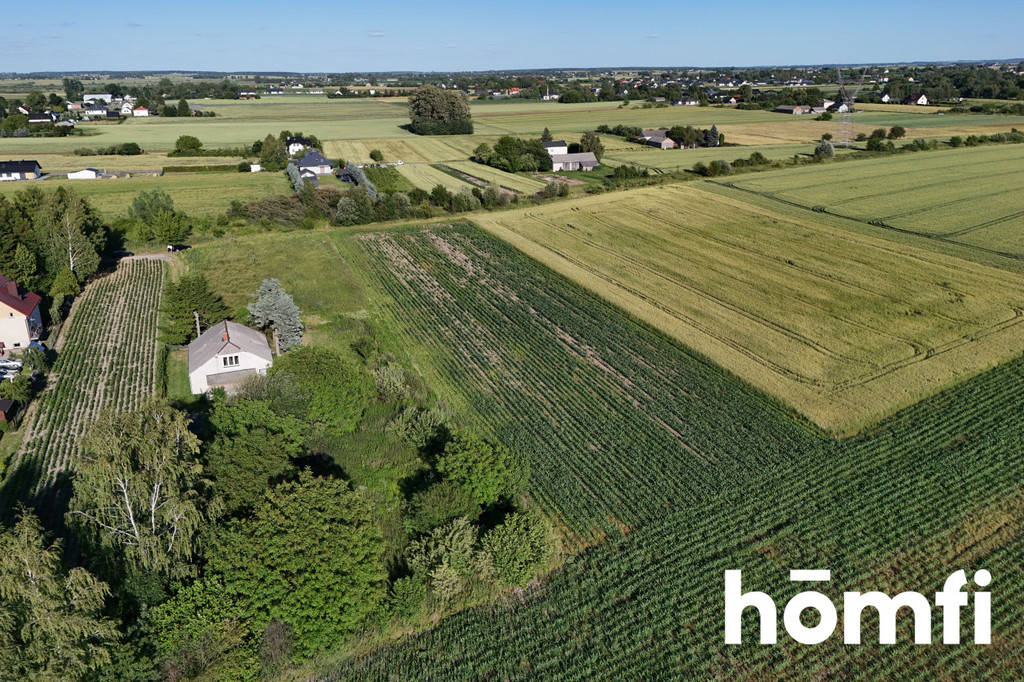 Działka rolna 5900 m², Szopinek - zdjęcie 6