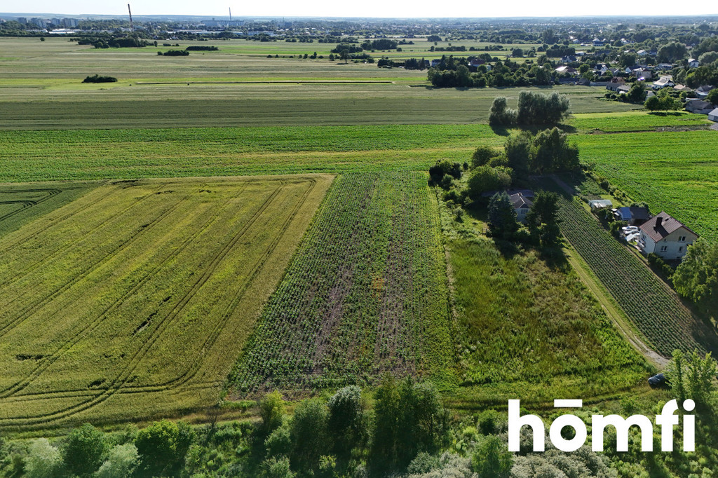 Działka rolna 5900 m², Szopinek - zdjęcie 2