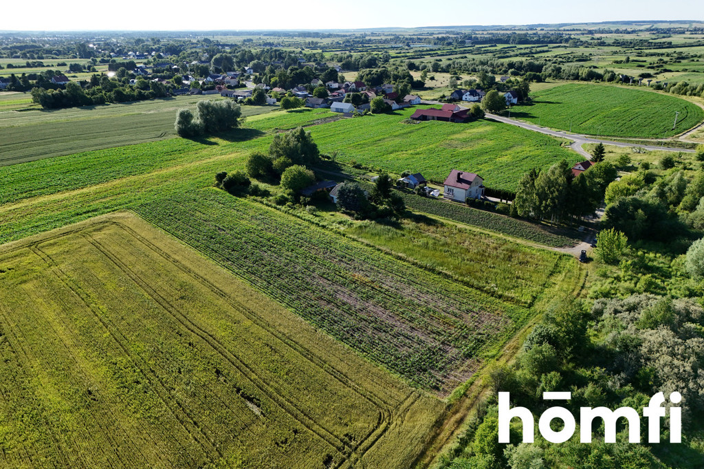 Działka rolna 5900 m², Szopinek - zdjęcie 3