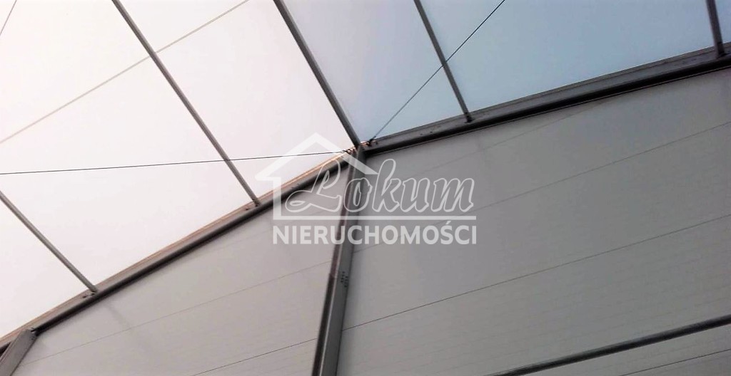 Magazyn na sprzedaż, 1260 m², Choszczno, Drawieńska - zdjęcie 5