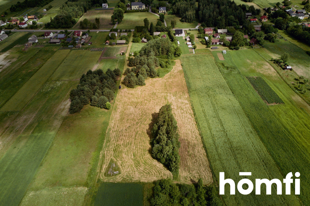 Działka gospodarstwo 1,36 ha, Kosobudy - zdjęcie 5