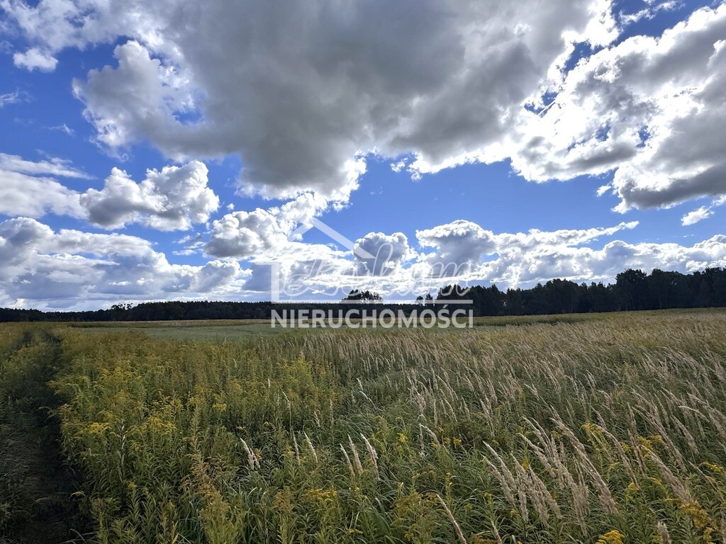Działka rolna 3024&nbsp;m², Żółwia Błoć - zdjęcie 1
