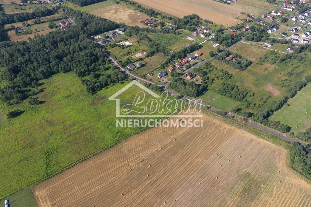 Działka rolna 3024&nbsp;m², Żółwia Błoć - zdjęcie 4