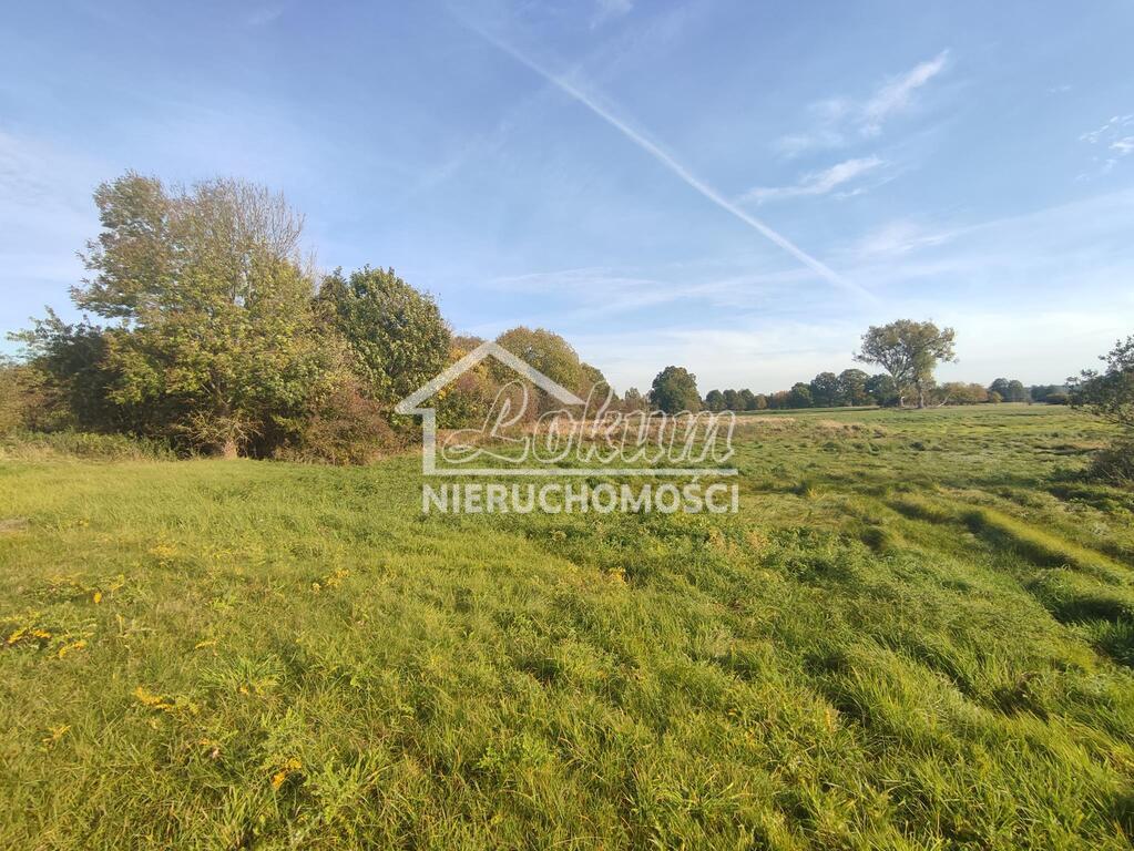 Działka rolna 3633&nbsp;m², Żarnowo - zdjęcie 1