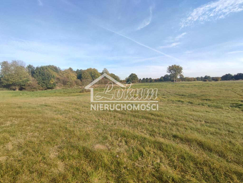 Działka rolna 4235&nbsp;m², Żarnowo - zdjęcie 13