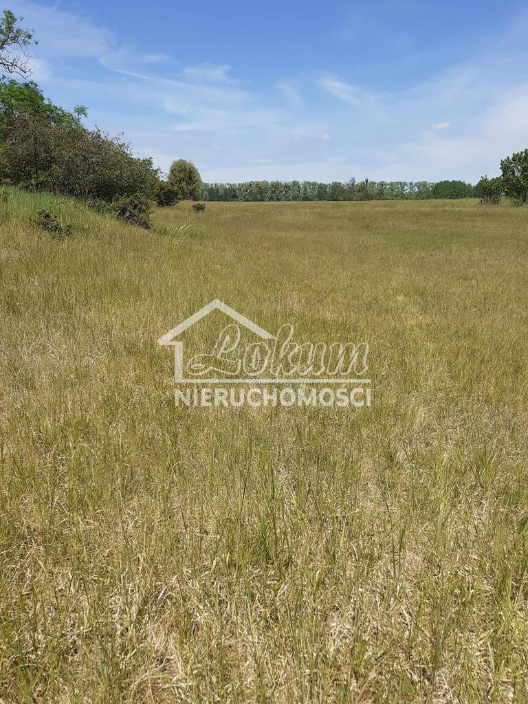 Działka rolna 4235&nbsp;m², Żarnowo - zdjęcie 4