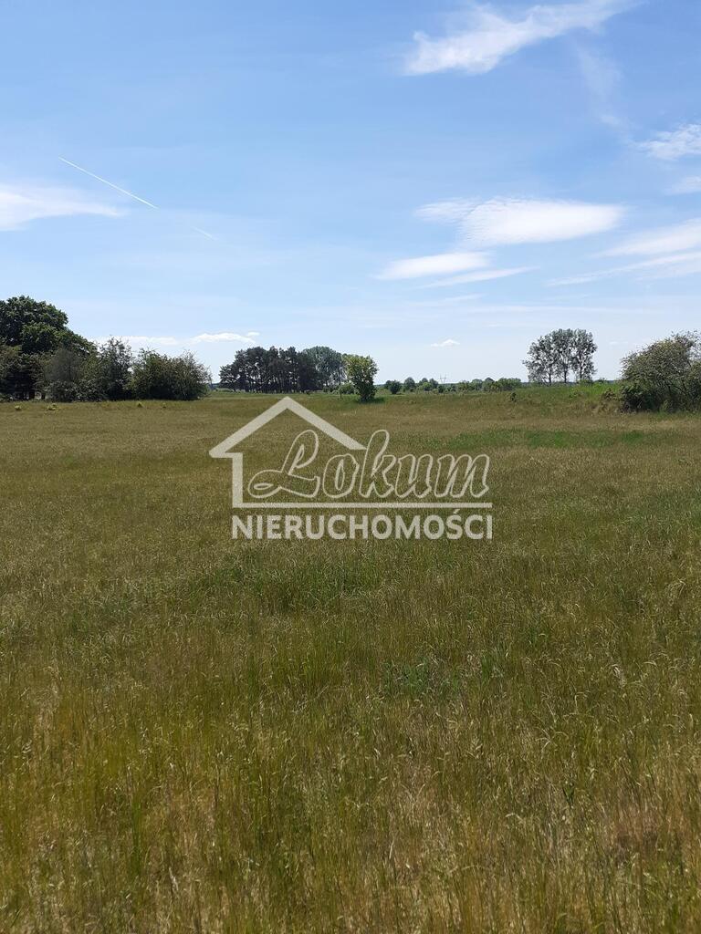 Działka rolna 4235&nbsp;m², Żarnowo - zdjęcie 3