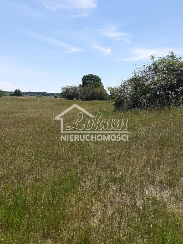 Działka rolna 4626 m², Żarnowo - zdjęcie 9