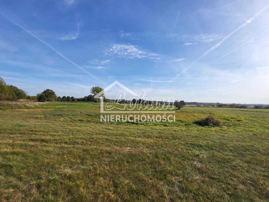 Działka rolna 4626 m², Żarnowo - zdjęcie 11