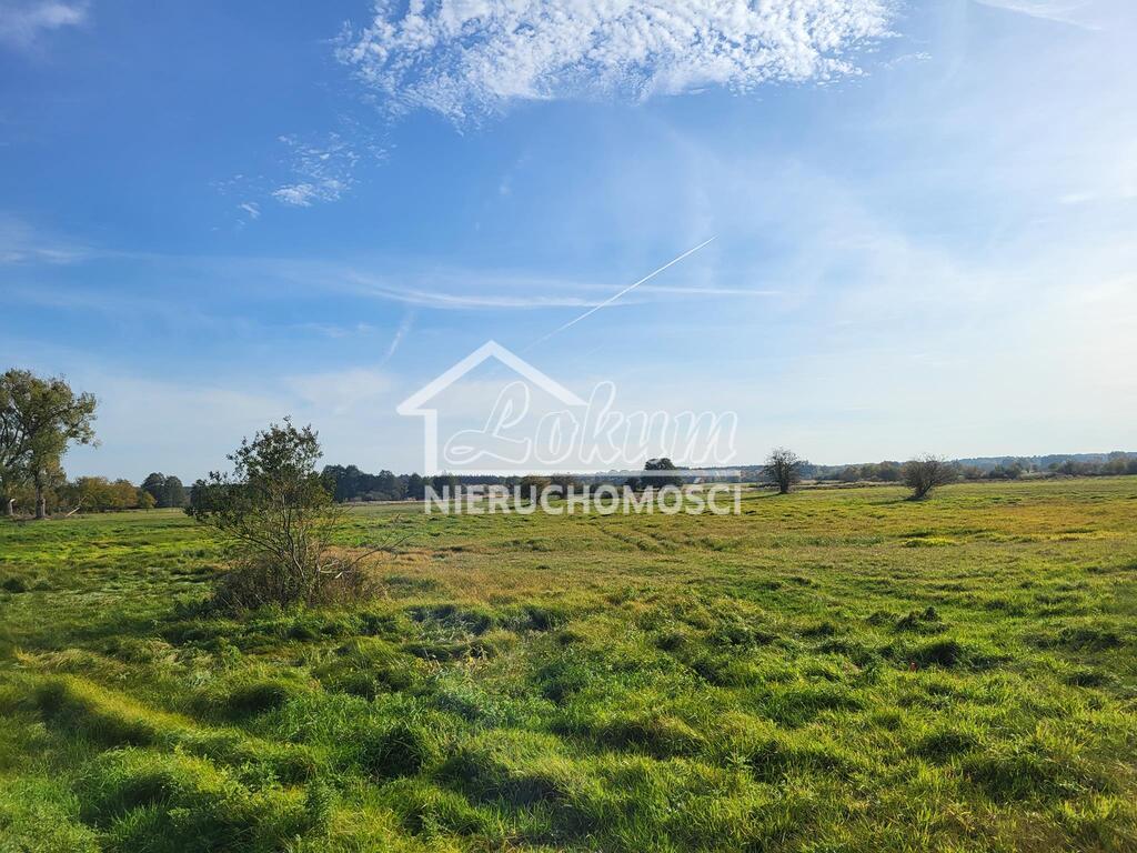 Działka rolna 4626 m², Żarnowo - zdjęcie 8