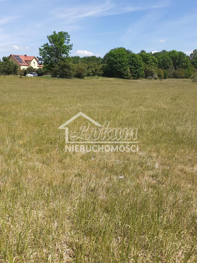 Działka rolna 4626 m², Żarnowo - zdjęcie 7