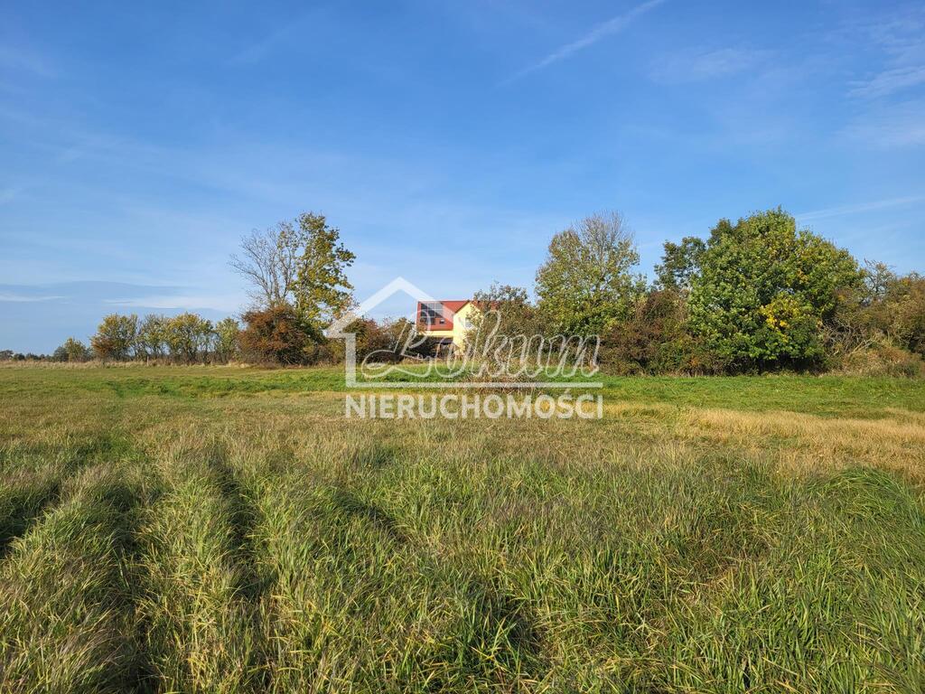 Działka rolna 4626 m², Żarnowo - zdjęcie 6