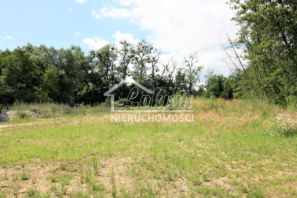 Dom 55&nbsp;m², Choszczno - zdjęcie 8