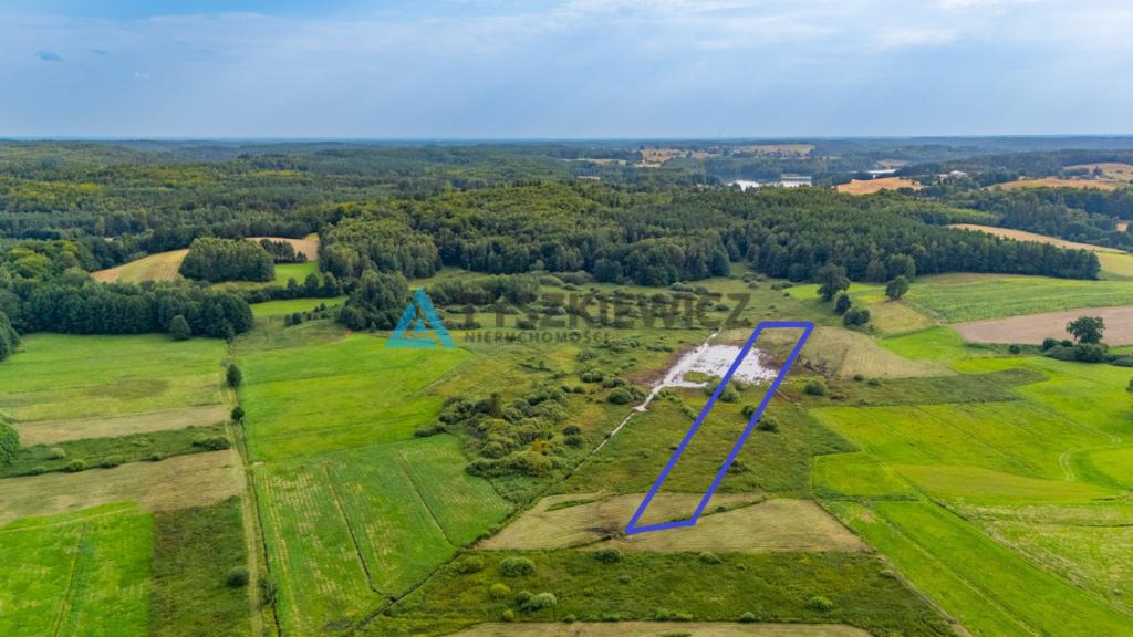 Działka rolna Rekowo Bytowskie 2500 m2 - zdjęcie 2